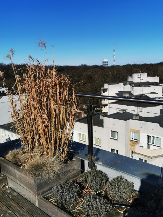 Apartment Paula 斯维诺乌伊希切 外观 照片